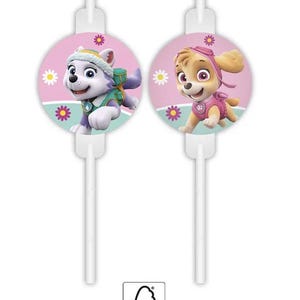 May include: Two white cake toppers featuring Paw Patrol characters Everest and Skye. Each character is on a pink circle with daisy and flower accents. The FSC logo is in the bottom right corner.