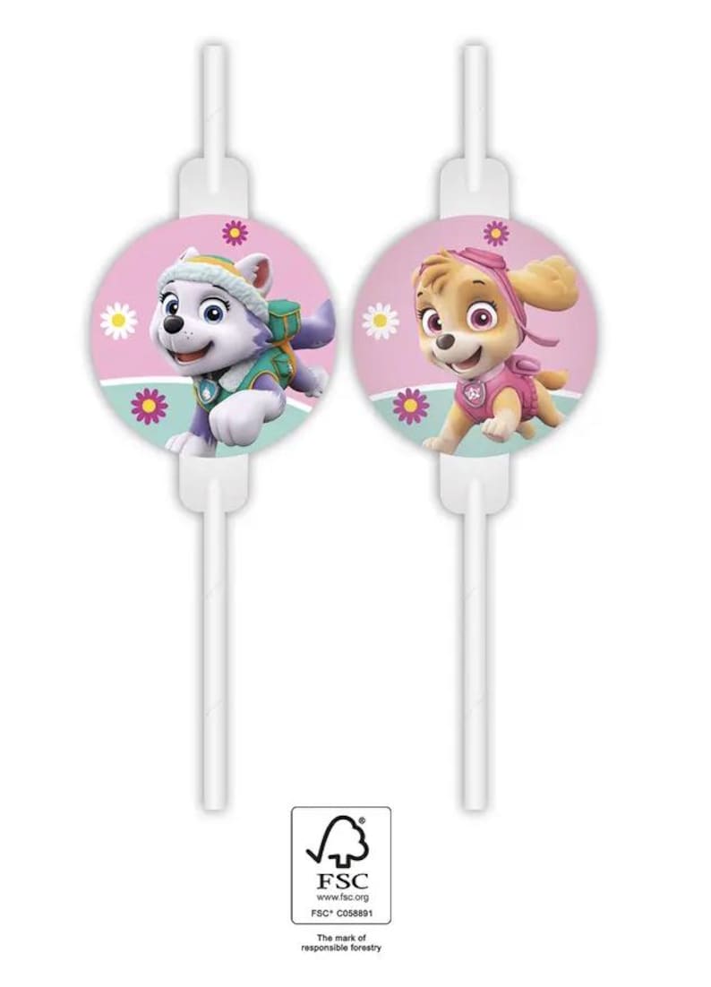 May include: Two white cake toppers featuring Paw Patrol characters Everest and Skye. Each character is on a pink circle with daisy and flower accents. The FSC logo is in the bottom right corner.