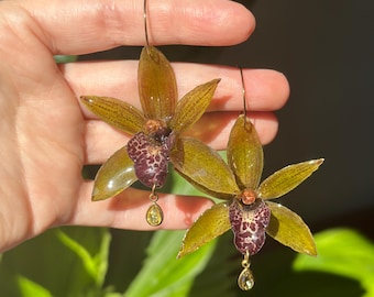 Real Preserved Green Orchid Earrings – Cymbidium Flower Resin Jewelry