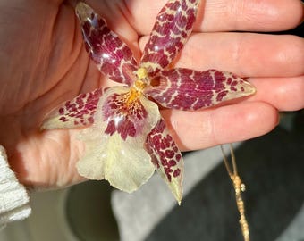 Real Preserved Aliceara Orchid Necklace, Resin Flower Jewelry, Gold/Rhodium Chain