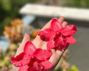 Handmade Polymer Clay Cattleya Orchid Earrings • Large Coral Statement Floral Jewelry