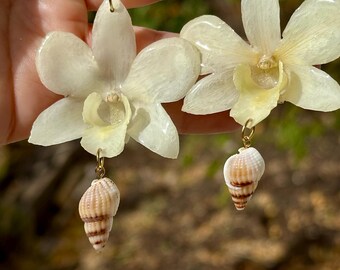 Real Preserved Dendrobium Orchid Earrings | Gold Plated Studs, Seashell Charm (Boho Beach Jewelry)