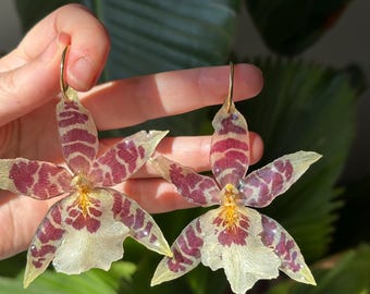 Preserved Aliceara Orchid Earrings with Gold-Plated Hoop – Real Flower Jewelry