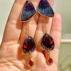 Real Necyria Duellona Butterfly Wing Earrings, Red Glass Charm, Gold Plated Hoops
