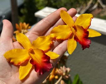 Handmade Coral Cattleya Orchid Earrings • Polymer Clay Statement Flower Jewelry