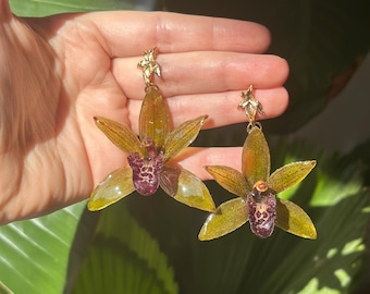 Real Preserved Orchid Earrings – Green Cymbidium Flower Resin Jewelry