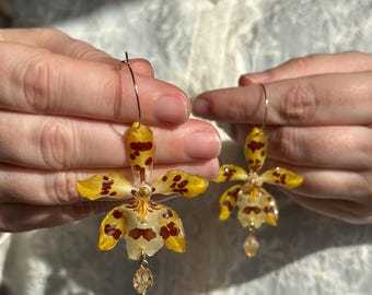 Real Orchid Earrings: Preserved Odontocidium, Citrine, 18k Gold Hoops