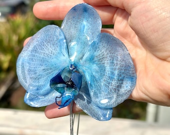 Real Preserved Blue Orchid Necklace: Statement Flower Jewelry
