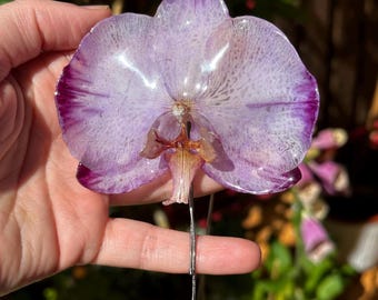 Real Preserved Purple Orchid Necklace: Handmade Bolo Tie Pendant
