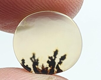 Natural Shazar Agate Cabochon – Dendritic Gemstone with Scenic Inclusions, Round Shape
