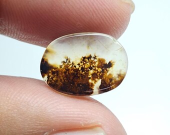 Shazar Dendrite Loose Cabochon - Natural Stone Jewelry Supply