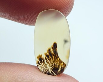 Unique Shazar Dendrite Agate Cabochon - Natural Gemstone for Jewelry Making