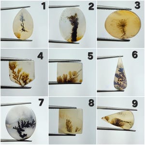 Cabochon en agate dendrite Shazar : pierre précieuse pittoresque