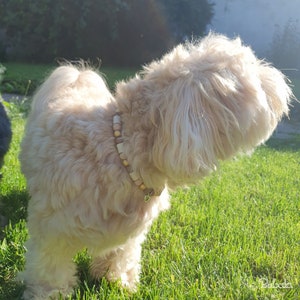 EM Keramik Pipes Halsband für Hund und Katze. Natürlicher Zeckenschutz mit braunen und goldenen Holzperlen und Anhänger Bild 5