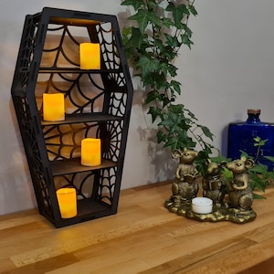 Coffin display Shelf, Spiders web shelf, Gothic Display Cabinet,  Gothic Decor, Crystal display cabinet, display cabinet, Gothic shelving
