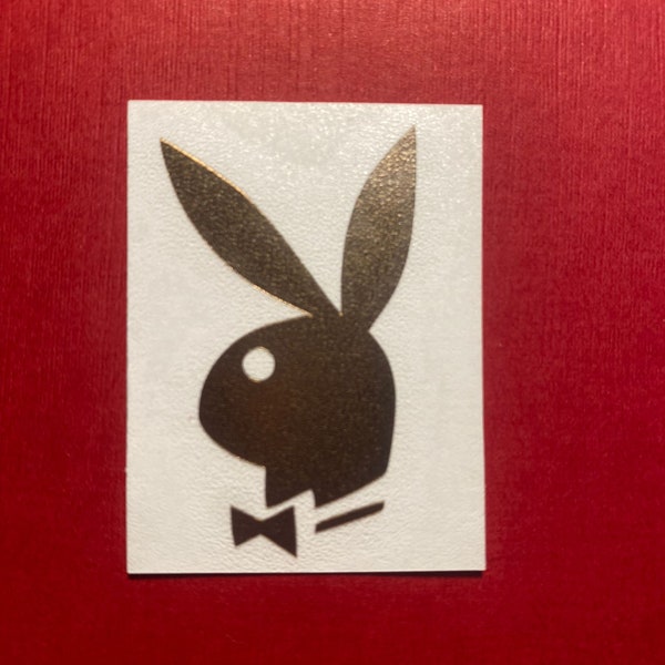 Lapin personnalisé - lot de 10 décalcomanies en vinyle, voitures, motos, casques, vélos, fenêtres, vitres, portes, serres, etc.