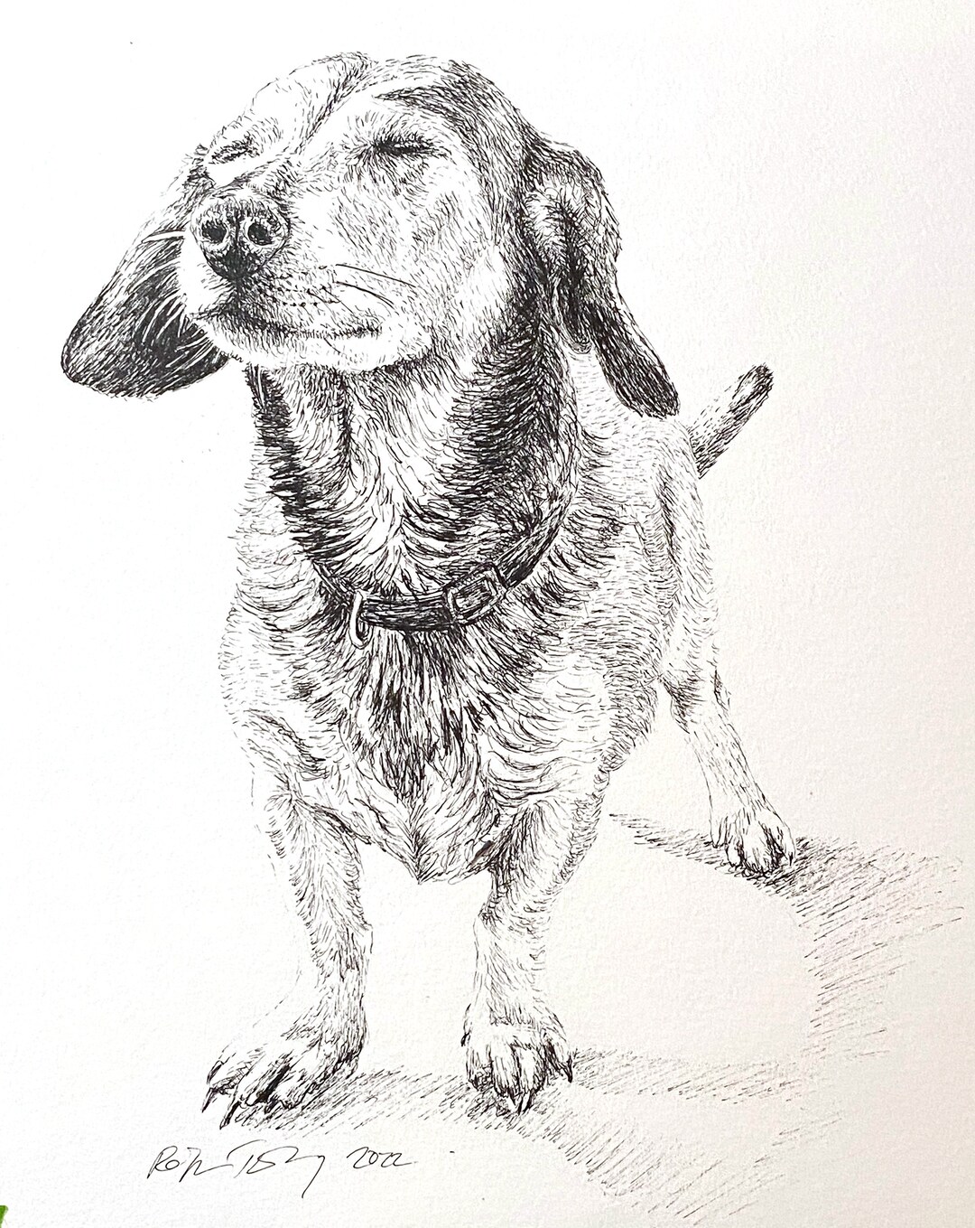 Custom Pet Portrait, Hand-drawn Pen and Ink Dog Art - Etsy