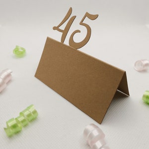 Tischkärtchen 45. Geburtstag Platzkarten Namenskarten Tischkarten Karten Originell Einzigartig Außergewöhnlich Dekoration Deko Besonderes