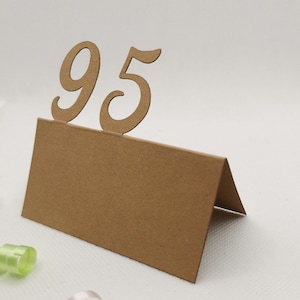 Tischkärtchen 95. Geburtstag Platzkarten Namenskarten Tischkarten Karten Originell Einzigartig Außergewöhnlich Dekoration Deko Besonderes