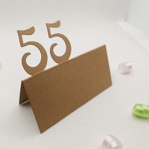 Tischkärtchen 55. Geburtstag Platzkarten Namenskarten Tischkarten Karten Originell Einzigartig Außergewöhnlich Dekoration Deko Besonderes