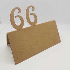 Tischkärtchen 66. Geburtstag Platzkarten Namenskarten Tischkarten Karten Originell Einzigartig Außergewöhnlich Dekoration Deko Besonderes
