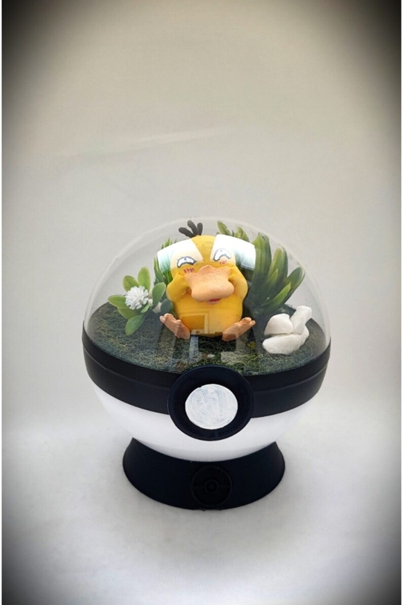 Pokemon Terrarium, Pokeball Terrariums, Pikachu Gifts, Pokemon Pokeball