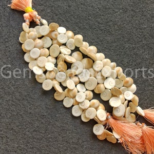 May include: Strands of natural, off-white shell beads with a spiral design. The beads are round and flat, with a slightly textured surface. The strands are tied with orange tassels and a yellow accent.
