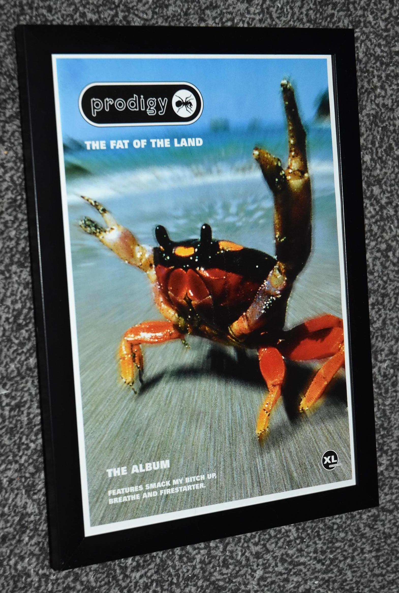The Prodigy Signed - Etsy