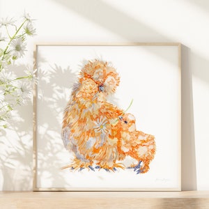 A print of a watercolour illustration of a buff  silkie chicken and her chick holding a daisy framed next to a pretty bunch of daisies.