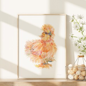 The print of the buff silkie chicken has been framed, and displayed next to a basket of eggs and white daisies in a bright sunny kitchen.