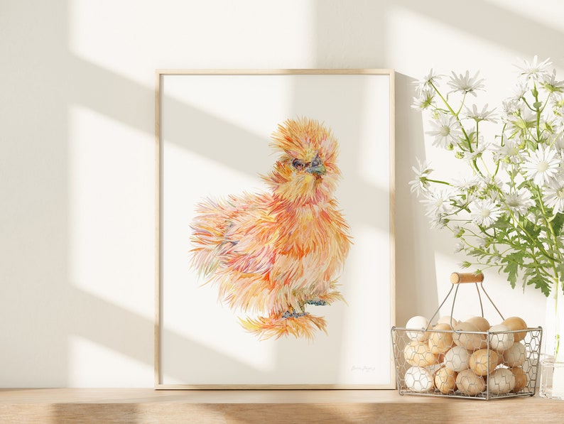 The print of the buff silkie chicken has been framed, and displayed next to a basket of eggs and white daisies in a bright sunny kitchen.