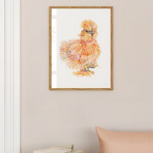 A print of a watercolour illustration of a buff orange coloured silkie chicken chick framed in a cosy living room.