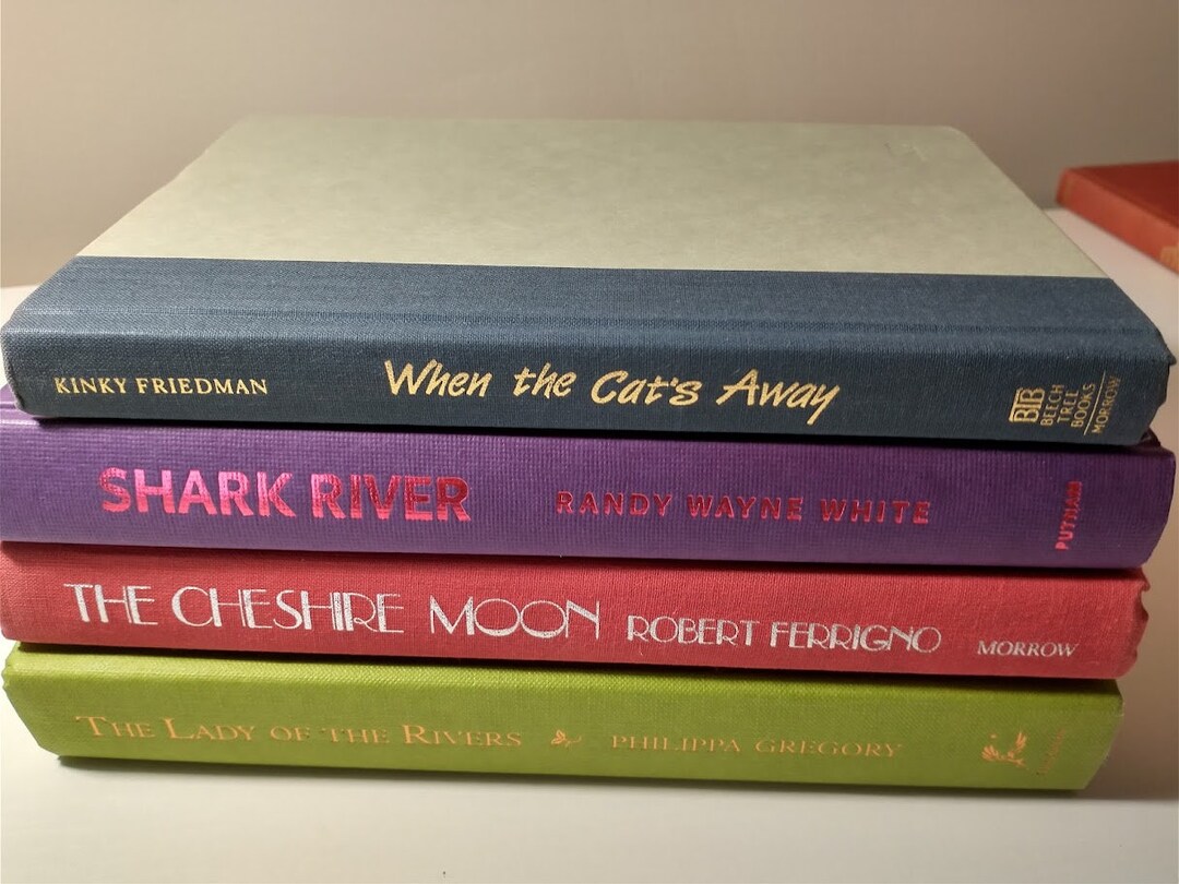 Colorful Book Stack Bundle... - Etsy