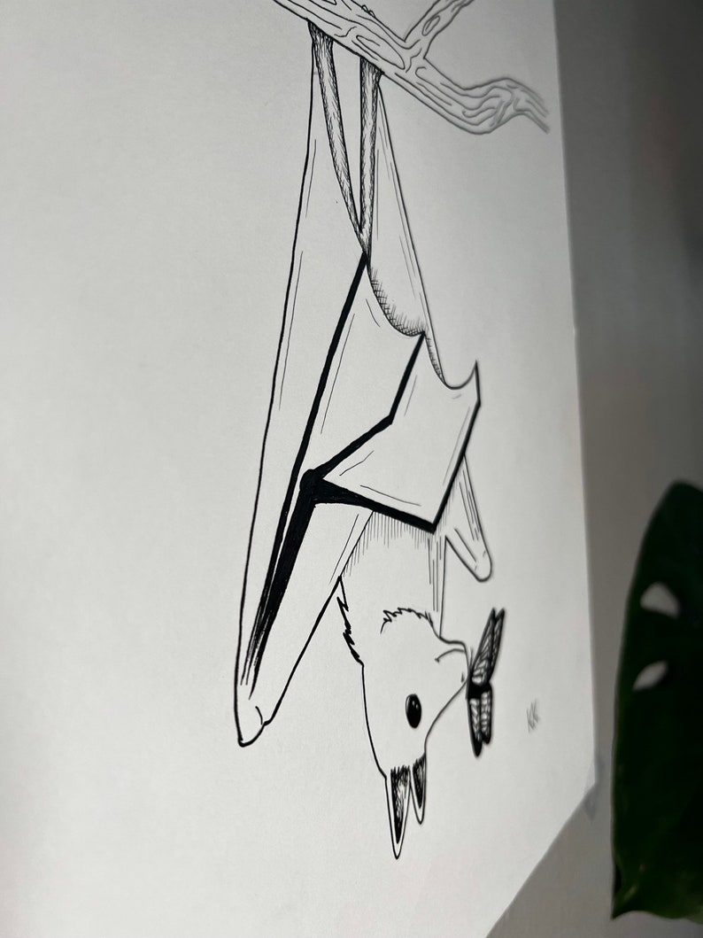 Bat Ink Drawing Inktober 2022 Day 3 ORIGINAL Ink Drawing Etsy