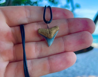 Shark Tooth Necklace / Shoreline Sourced / Full Face / No Front Wire / Free Shipping
