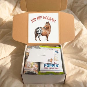 Close up view inside a funny hip surgery post-op gift box. Shows the "Hip Hip Hooray" Horse with Zebra leg sign prominent on the inside lid and packed snacks including "Toad-ally Blows" tissues and "Water You Up To" hydration packets.