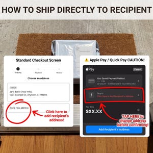 Infographic guide showing how to ship gifts directly to the recipient. The left side highlights "Add a new address" on the standard checkout screen. The right side warns Apple Pay users to tap the "Ship to" field to change the address before confirming payment.