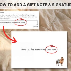 Instructional graphic showing how to add a personalized gift message at checkout. Arrows point to the "Gift Message" text box and show how it appears printed on the included "Hip Hip Hooray" card.