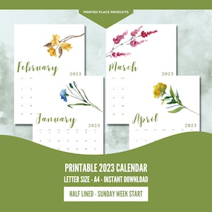 Calendario 2023 Imprimible, Calendario de Escritorio Mensual, Pared Floral Botánica, Flores Acuarela, PDF, Tamaño Carta, A4, Bonito Elegante, Líneas