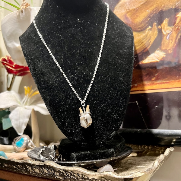 Whitetail deer tooth necklace bone oddity bone necklace