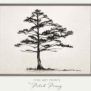 Druckbare Baum Zeichnung Wandkunst |  Kohlezeichnung einer Loblolly Pine Tree |  Galerie Wandkunst |  Digital Download Fine Art