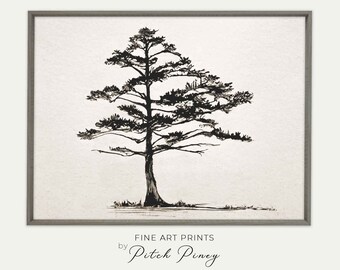 Printable Tree Drawing Wall Art  |  Charcoal Drawing of a Loblolly Pine Tree  |  Gallery Wall Art  |  Digital Download Fine Art