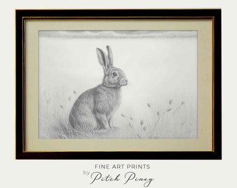 Printable Bunny Wall Art  | Bunny Gallery Wall Sketch |  Farmhouse Decor  |  Digital Download Fine Art