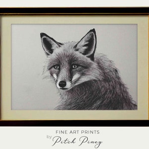 Printable Fox Wall Art  | Fox Drawing for Gallery Wall  |  Farmhouse Decor  |  Home Wall Decor