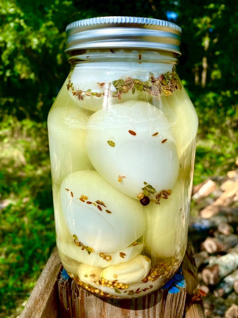 Old Fashioned Pickled Eggs Farm Fresh Pasture Raised Etsy