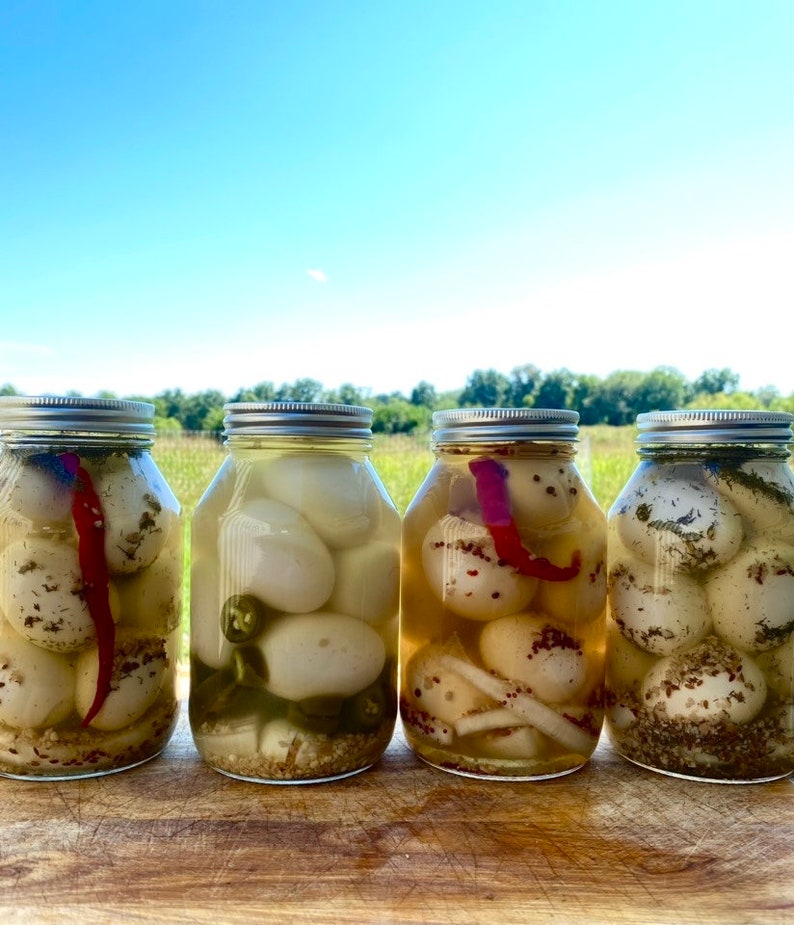 BULK Pickled Eggs | Buy high quality in Bulk and Save | Farm Fresh | Pasture Raised | Farm to Table