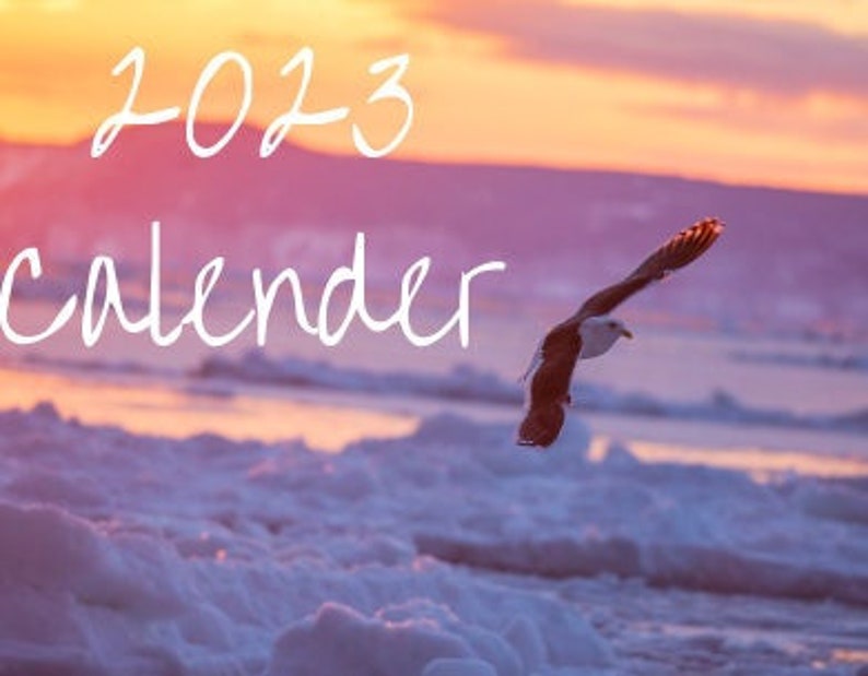 2023 Bird Calendar Digital Etsy
