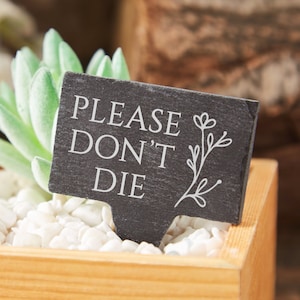 Personalisiertes graviertes Schiefer-Garten-Zeichen Benutzerdefinierter Text-Kraut-Zuteilungsschild Peg-Garten-Gärtner-Set Schiefer-Garten-Einsätze Blumentopf-Tag