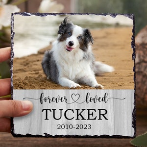 Haustier Erinnerungsgeschenk, Haustier Foto Erinnerungsstein, Sympathie Geschenk, personalisiertes Haustier Foto Erinnerung, Haustier Erinnerungsgeschenk, Hund Erinnerung, Erinnerungsstein Hund