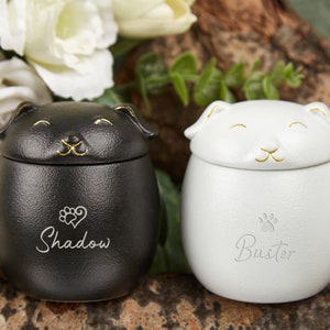 Personalized Pet Urns for Dogs Cats,Pet Loss Gifts,Custom Pet Paw Urn Cat with Name and Date,Pet Memorial Art,Modern Pet Ashes Cremation Urn